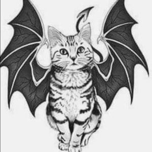 Meet your Posher, Zachary